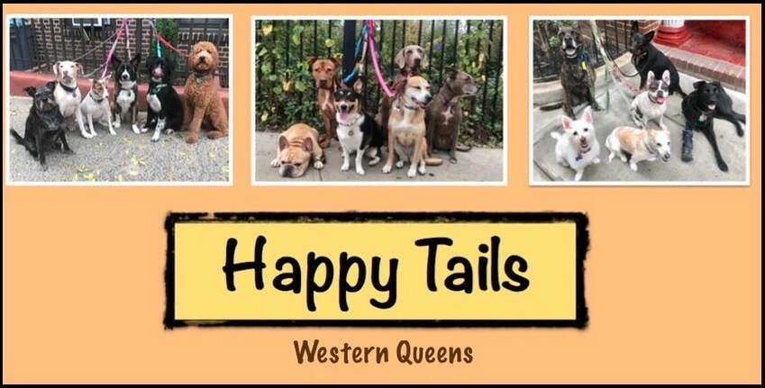 HAPPY TAILS: GROUP DOGWALKING FOR WESTERN QUEENS